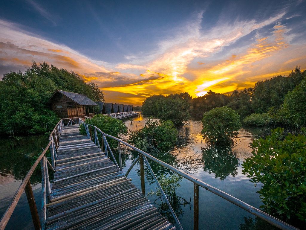 sunset di jakarta hutan mangrove PIK