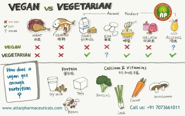 perbedaan vegan dan vegetarian