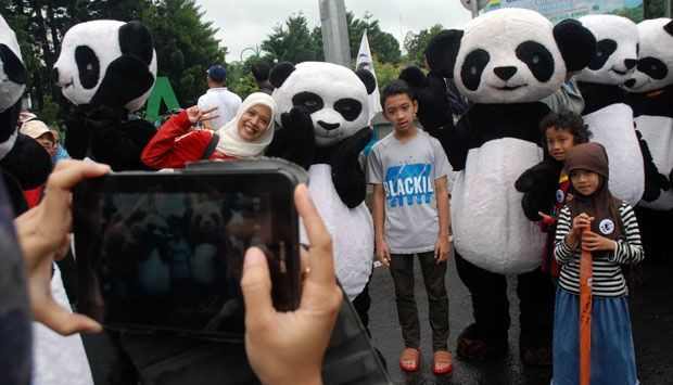 Flashmob Panda di Bandung pada Januari 2014 saat pembukaan Bumi Panda sebagai upaya edukasi pelestarian lingkungan (