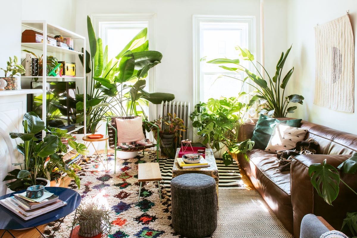 dekorasi interior tanaman