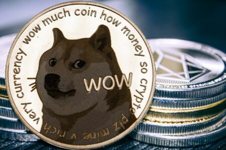 Fakta dogecoin