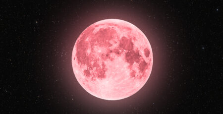 fakta pink moon