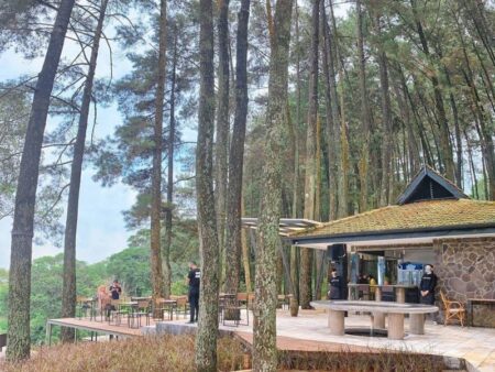 cafe tengah hutan