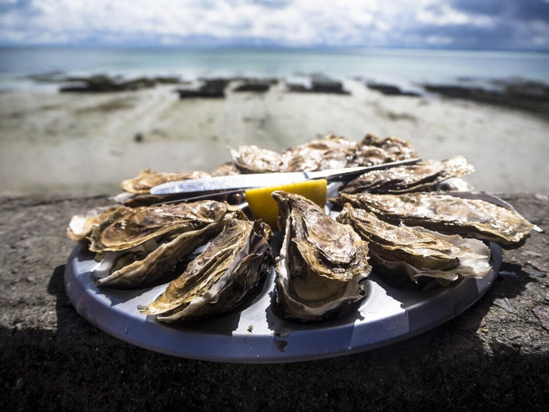 restoran oyster jakarta