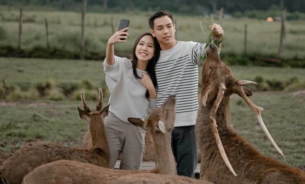 tempat prewedding di Penangkaran Rusa Giri Jaya Bogor