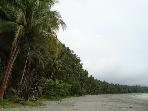 wisata di tuban