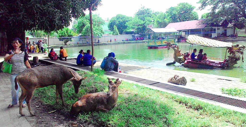 tempat wisata Solo untuk anak balekambang