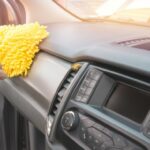 cara menghilangkan serangga di mobil
