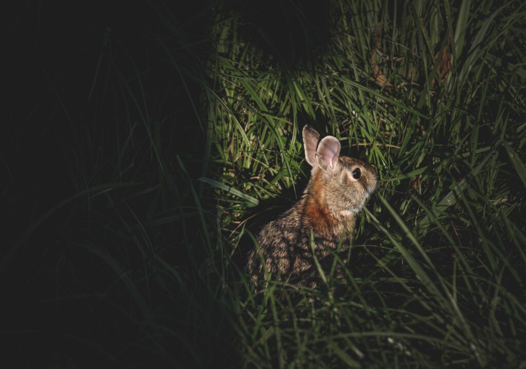 tips mengemudi malam hari