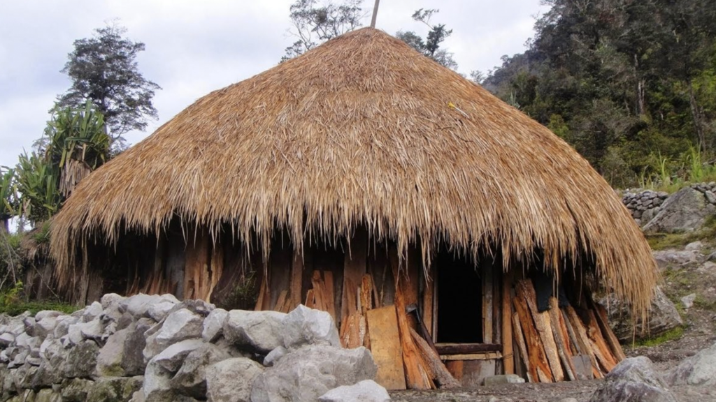 rumah adat Papua