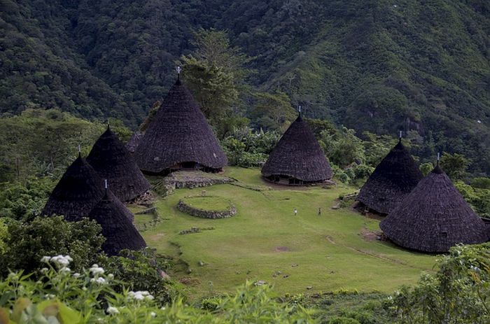 rumah adat Papua