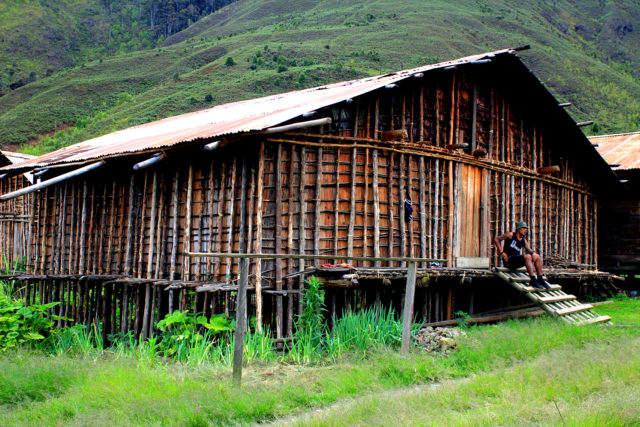 rumah adat Papua