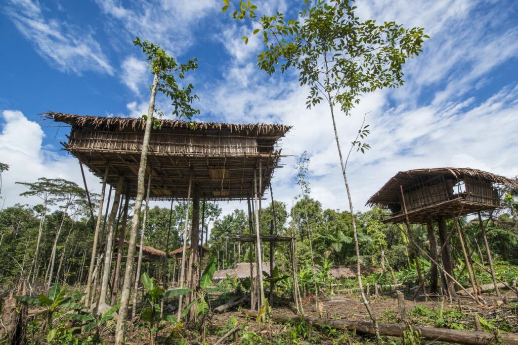 rumah adat Papua