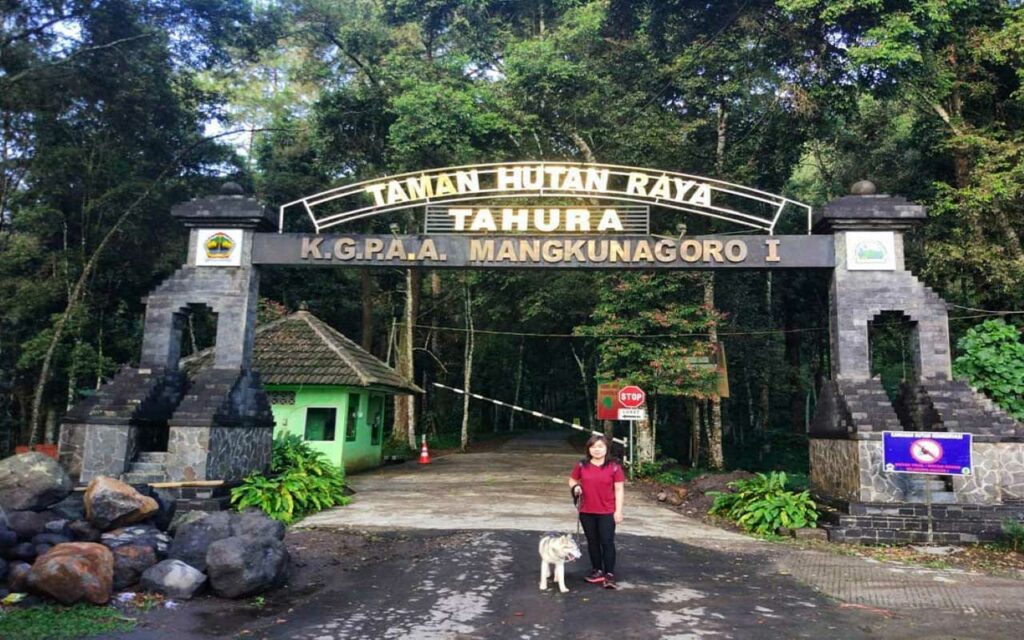 taman hutan raya solo