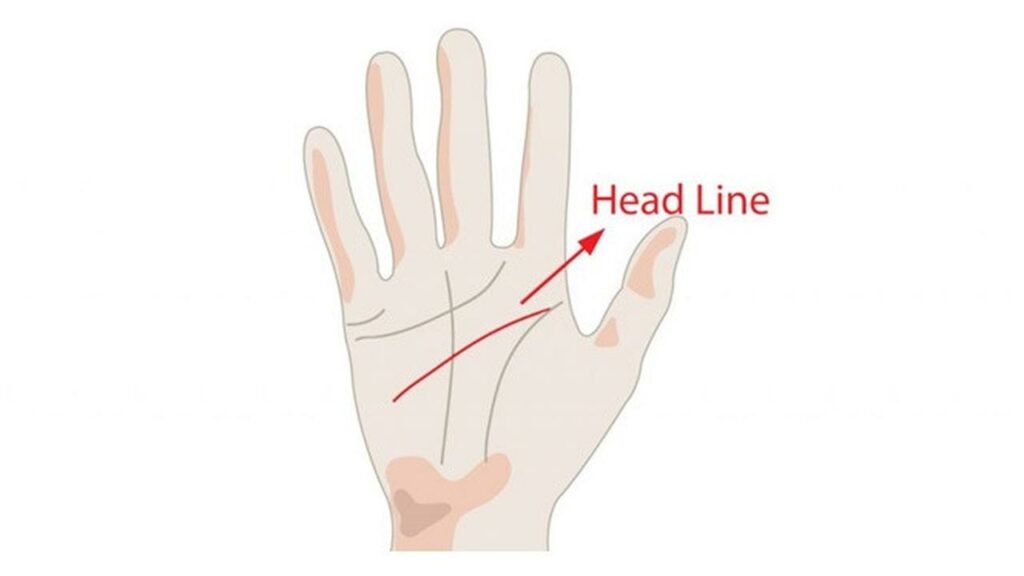 cara membaca garis tangan dan artinya garis kepala