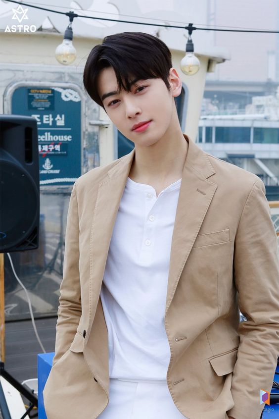 cha eun woo