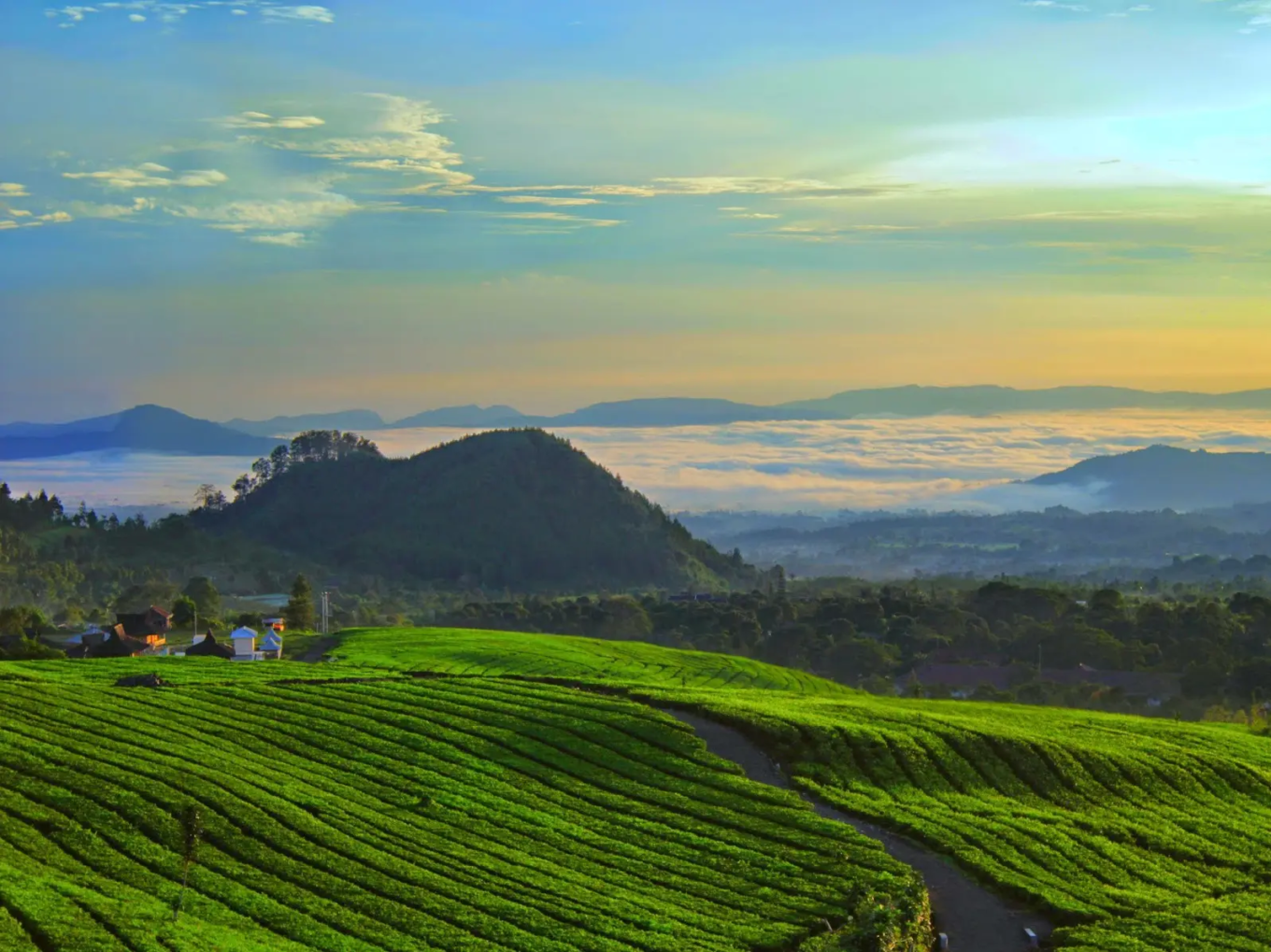 kebun teh ciater subang (1)