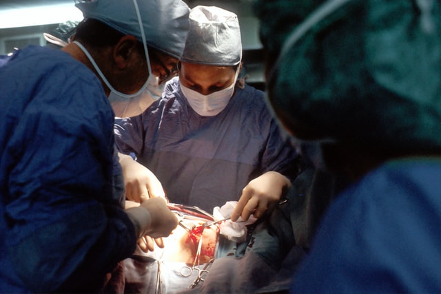transplantasi ginjal di indonesia