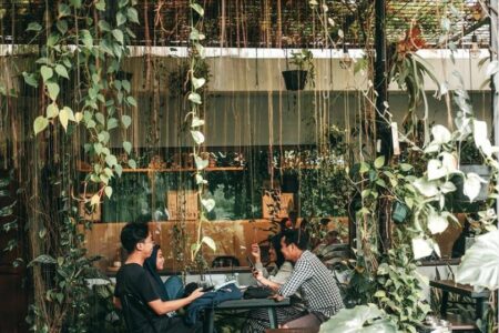 cafe di dramaga bogor - hutan hujan