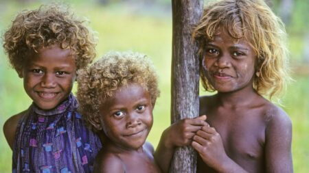 apa itu ras melanesia