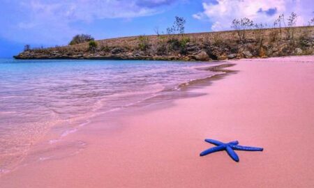 liburan pink beach lombok