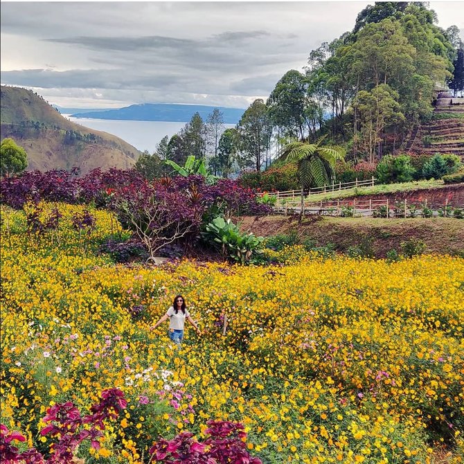 wisata danau toba