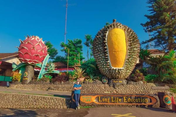 10 tempat wisata puncak